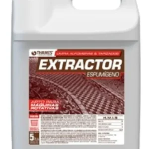 Limpia Alfombras y Tapizados Espumígeno Thames 5 L