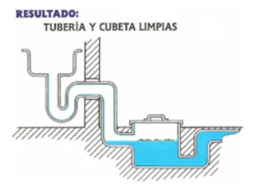 Destapa Cañerías Bacteria DBX-100 5 L | Ecológico y Biodegradable - Image 4